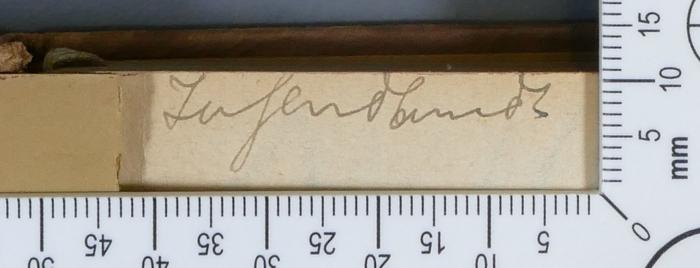 - (Jugendbund [o. Ortsangabe]), Von Hand: Exlibris; 'Jugendbund'.  (Prototyp)