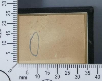 - (Zentralbücherei Theresienstadt Volkslesehalle), Von Hand: Zeichen; '[Blauer Ring]'.  (Prototyp)