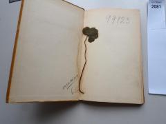 -, Von Hand: Inventar-/ Zugangsnummer; '99123'