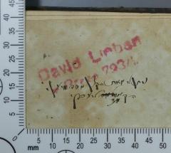 - (Lieben, David), Stempel: Exlibris; 'David Lieben
z [?] Praze 793/1 [?]'.  (Prototyp)