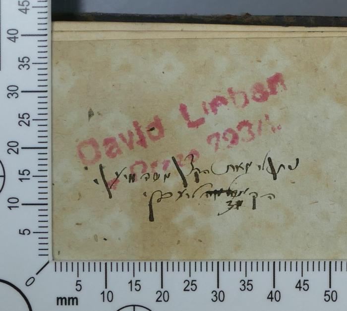 - (Lieben, David), Stempel: Exlibris; 'David Lieben
z [?] Praze 793/1 [?]'.  (Prototyp)