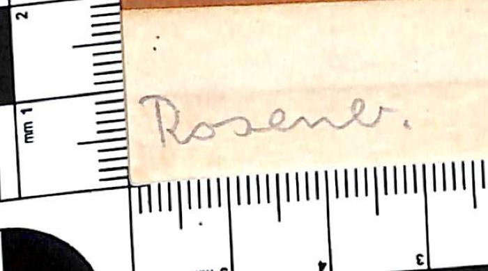 -, Von Hand: Notiz; 'Rosenb.'