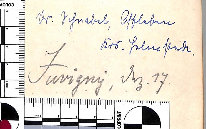- (Jurigny[?]), Von Hand: Name, Datum; 'Jurigny, Mrz. 17.'. 