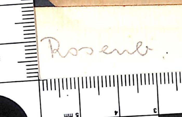 - (Geheime Staatspolizei Hannover;Alfred Rosenberg-Spende für die deutsche Wehrmacht), Von Hand: Notiz; 'Rosenb.'. 