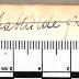 K 3018 : Esperanto nach neuzeitlicher Lehrmethode (1929)