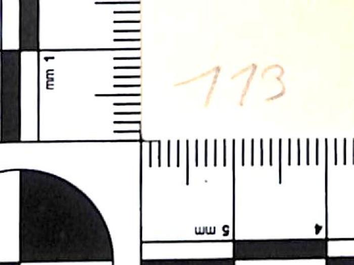 -, Von Hand: Nummer; '113'