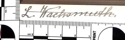 - (Wachsmuth, L.), Von Hand: Name; 'L. Wachsmuth.'. 