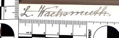 - (Wachsmuth, L.), Von Hand: Name; 'L. Wachsmuth.'. 