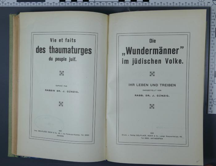 296.082 BRIS (angebunden) : Die "Wundermänner" im jüdischen Volke : ihr Leben u. Treiben = Vie et faits des thaumaturges du peuple juif  (1921)