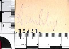 - (Dinklage[?]), Von Hand: Name; 'Dinklage[?]'. 