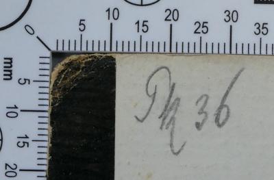 - (Hochschule für die Wissenschaft des Judentums), Von Hand: Signatur; 'Pk 36'. 