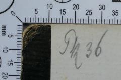 - (Hochschule für die Wissenschaft des Judentums), Von Hand: Signatur; 'Pk 36'. 