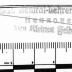 P 3372 : Schule und Gegenwartskunst (1907)