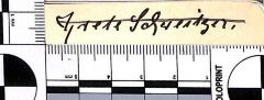 - (Schweitzer, Grete), Von Hand: Name; 'Grete Schweitzer.'. 