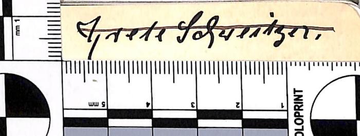 - (Schweitzer, Grete), Von Hand: Name; 'Grete Schweitzer.'. 