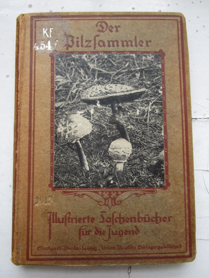 Kf 454 f: Der Pilzsammler ([1917])