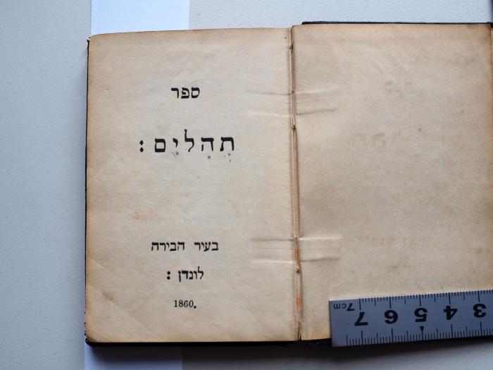 .ספר תהלים
[Buch der Psalmen]
 (1860)