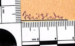 - (Weißleder), Von Hand: Name; 'Weißleder.'. 