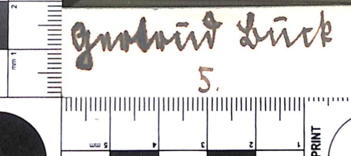 - (Buck, Gertrud), Von Hand: Name; 'Gertrud Buck / 5.'. 