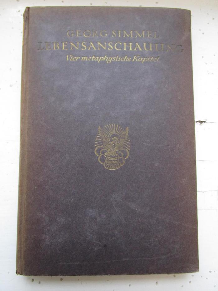 VIII 1873 3. Ex.: Lebensanschauung : Vier metaphysische Kapitel (1918)