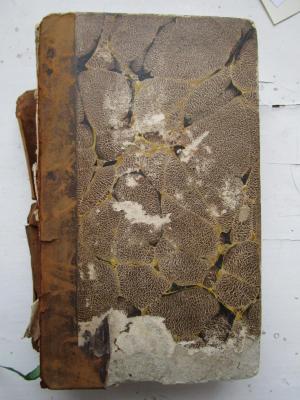  Johann Bernoulli's Sammlung kurzer Reisebeschreibungen und anderer zur Erweiterung der Länder- und Menschenkenntniß dienender Nachrichten (1783)