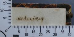 - (Reiniger, ), Von Hand: Exlibris, Name; 'Reiniger'. 