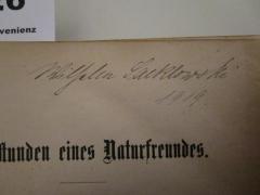- (Sacklowski, Wilhelm), Von Hand: Autogramm, Name, Datum; 'Wilhelm Sacklowski 1919'. 