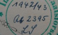 - (Institut für Staatsforschung), Von Hand: Inventar-/ Zugangsnummer; &#039;[19##/##]
[..] [####]
[...]&#039;.  (Prototyp)