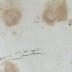 -, Von Hand: Name; 'Louis [?] Lowy [?]'