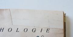 - (Krüger, E.[?];unbekannt), Ausschnitt: ; '[getilgt]'. 