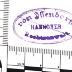 6/522 : Heinr. Künzels Grossherzogtum Hessen: Lebensbilder aus Vergangenheit und Gegenwart. (1893)