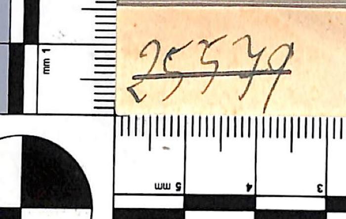 - (NSDAP-Gauarchiv und -museum Südhannover-Braunschweig), Von Hand: Signatur; '25579'. 