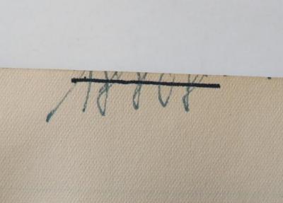 - (NSDAP-Gauarchiv und -museum Südhannover-Braunschweig), Von Hand: Signatur; '18808'. 