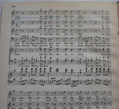 Der Wildschütz : Komische Oper in 3 Akten. Klavierauszug (o.J.);- (Vorreuter, Isabella), Von Hand: Annotation. 