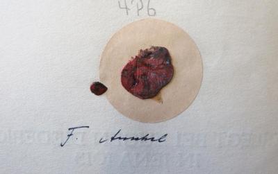 - (Anschel[?], F.), Siegel: ; 'FA'.  (Prototyp)