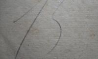 G46 / 3783 (Bergungsstelle für Wissenschaftliche Bibliotheken. Bergungsstelle 015), Von Hand: Nummer; &#039;15&#039;.  (Prototyp)