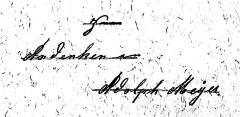 - (Meyer[?], Adolph), Von Hand: Widmung; 'Zum Andenken an Adolph Meyer[?] '. 