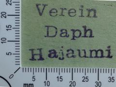 - (Verein Daph Hajaumi), Stempel: Name, Exlibris; 'Verein Daph Hajaumi'.  (Prototyp)