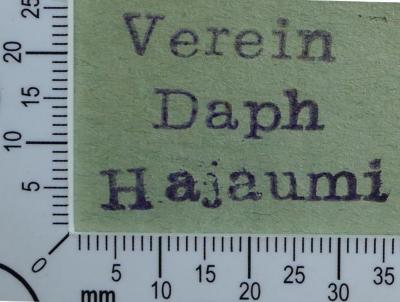 - (Verein Daph Hajaumi), Stempel: Name, Exlibris; 'Verein Daph Hajaumi'.  (Prototyp)