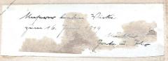 - ([...], Wicki;[...], Grete;[...], Theo), Etikett: Name, Widmung, Datum; 'Unserer lieben Wicki zum 16. Juni 1919 / Münster[?] / Grete u. Theo'. 
