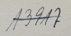 - (NSDAP-Gauarchiv und -museum Südhannover-Braunschweig), Von Hand: Signatur; '13917'. 