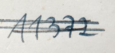 - (NSDAP-Gauarchiv und -museum Südhannover-Braunschweig), Von Hand: Signatur; '11372'. 