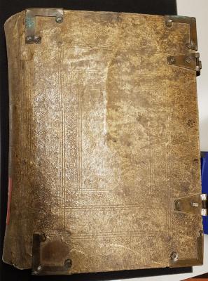 Ms. nova 31 : [Psalterhandschrift] ([15. Jh.])