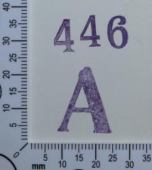 - (Jüdische Schülerbibliothek Pilsen), Stempel: Signatur; '446 A'. 