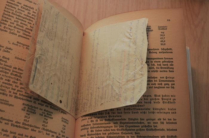 - (Sala, Edmund), Papier: Notiz; '[Hakenkreuz; Studiennotizen] Edmund Sala'. 
