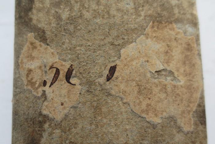  Dictionarium nominum propriorum virorum, mulierum, populorum, idolorum, urbium, fluviorum, montium, caeterorumque locorum, quae passim apud melioris notae authores leguntur (1576);- (unbekannt), Etikett: Nummer, Signatur; '5[...]'. 