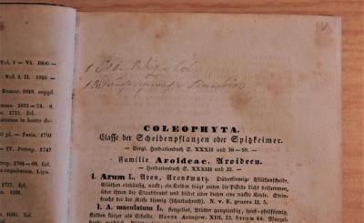 - (Törmer), Von Hand: Notiz; '[...]'. 