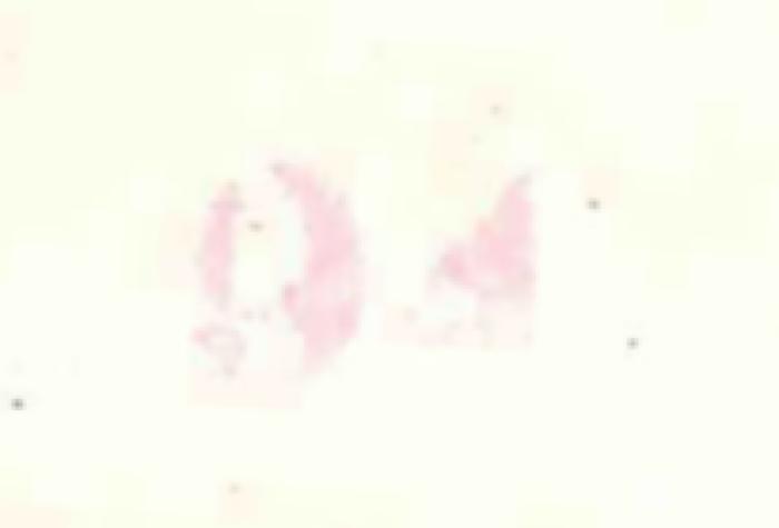 - (Heberle, Rudolf), Stempel: Abbildung; '"94"'. 