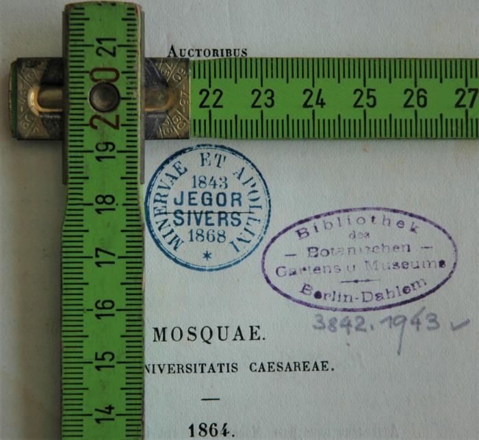 Stempel mit Maßen