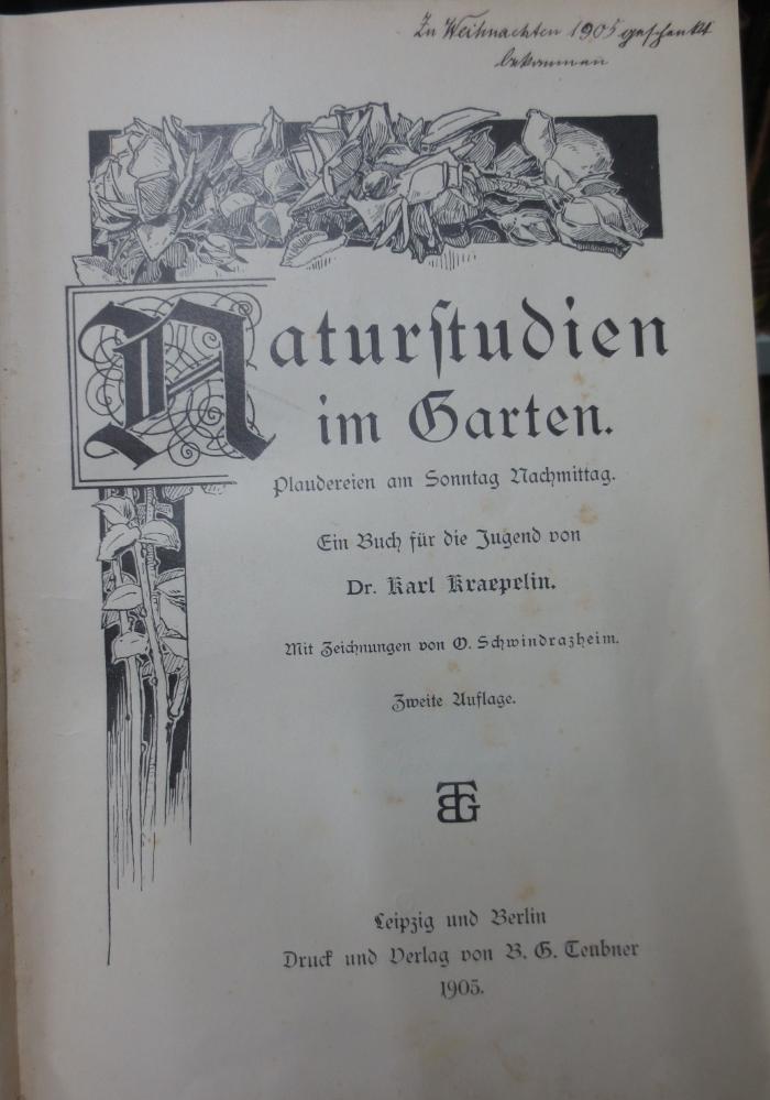 XIII 867 b: Naturstudien im Garten : Plaudereien am Sonntag Nachmittag (1905)